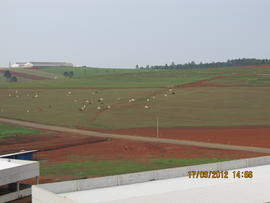 Terraplenagem e Construção de Avenidas – Campus Chapecó