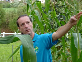 Campo Demonstrativo ALFA