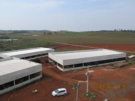 Terraplenagem e Construção de Avenidas – Campus Chapecó