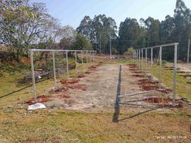 Estufas – Áreas Experimentais – Campus Chapecó