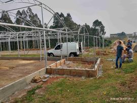 Estufas – Áreas Experimentais – Campus Chapecó