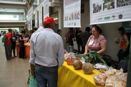 Evento “Terra e Arte”
