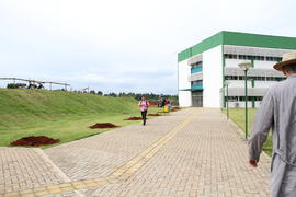Plantio de árvores no Campus Chapecó