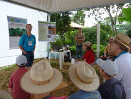 Campo Demonstrativo ALFA