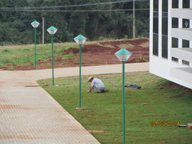 Plantação de grama - Campus Realeza