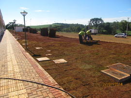 Plantação de grama - Campus Erechim