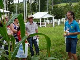 Campo Demonstrativo ALFA