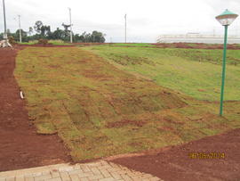 Plantação de grama - Campus Realeza