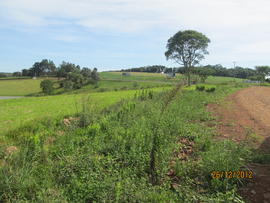 Terraplenagem – Campus Erechim