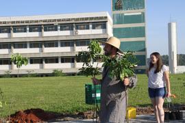 Plantio de árvores no Campus Chapecó