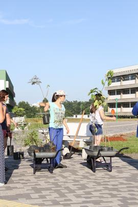 Plantio de árvores no Campus Chapecó