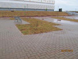Plantação de grama - Campus Realeza