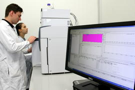 Servidores em atividades no laboratório