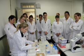 Laboratório de Microscopia