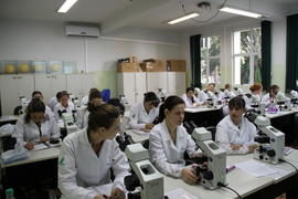 Laboratório de Microscopia