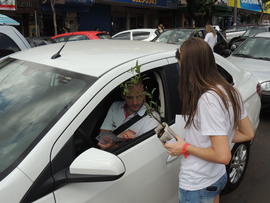 Pedágio Solidário Engenharia Ambiental