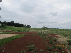 Terraplenagem – Campus Erechim