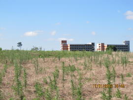 Construção Blocos A e B – Campus Chapecó