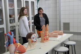 Visita dos Estudantes da Escola Victor Meirelles