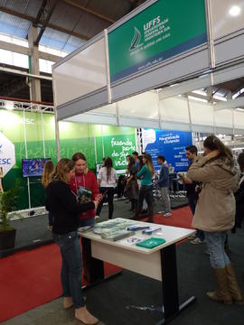 FACE 2013