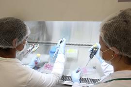 Laboratório de preparo histológico e patologia
