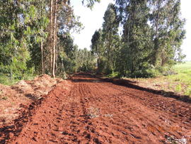 Terraplenagem, drenagem pluvial e pavimentação das vias internas – Campus Chapecó