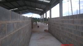 Construção Laboratório de Reprodução Animal - Campus Realeza