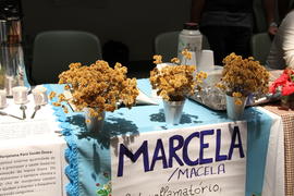 Banca das plantas medicinais
